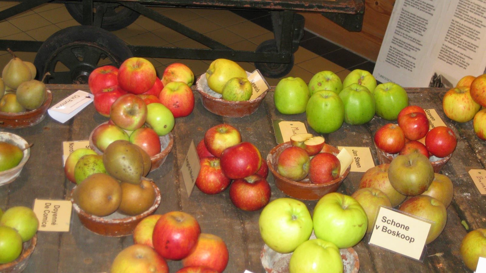 Historische Tuin Aalsmeer - Beleef -  Tuinwinkel - Ruim assortiment fruit